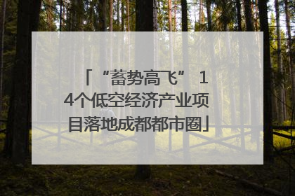 “蓄势高飞” 14个低空经济产业项目落地成都都市圈