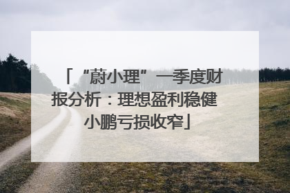 “蔚小理”一季度财报分析：理想盈利稳健 小鹏亏损收窄