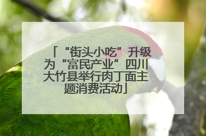 “街头小吃”升级为“富民产业”四川大竹县举行肉丁面主题消费活动
