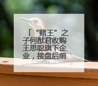 “赌王”之子何猷君收购王思聪旗下企业，接盘后前往山东参加活动