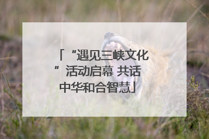 “遇见三峡文化”活动启幕 共话中华和合智慧