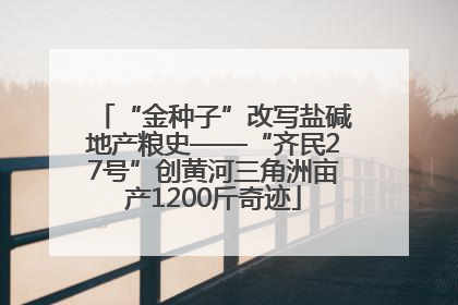 “金种子”改写盐碱地产粮史——“齐民27号”创黄河三角洲亩产1200斤奇迹