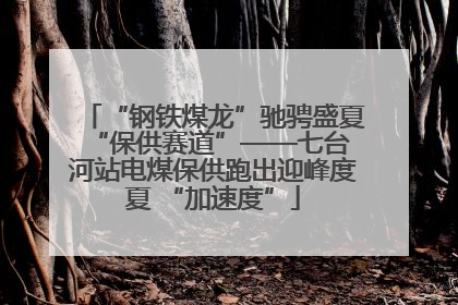 “钢铁煤龙”驰骋盛夏 “保供赛道”——七台河站电煤保供跑出迎峰度夏 “加速度”