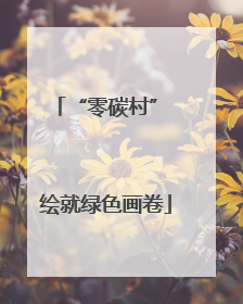 “零碳村” 绘就绿色画卷
