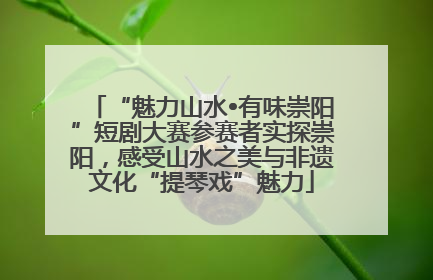 “魅力山水•有味崇阳”短剧大赛参赛者实探崇阳，感受山水之美与非遗文化“提琴戏”魅力