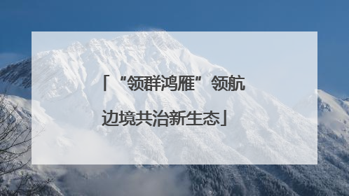 “领群鸿雁”领航边境共治新生态