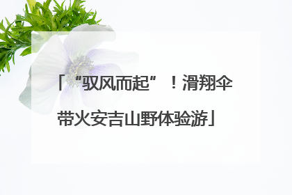 “驭风而起”！滑翔伞带火安吉山野体验游