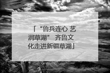 “鲁兵连心 艺润草湖” 齐鲁文化走进新疆草湖