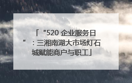 “520 企业服务日”：三湘南湖大市场灯石城赋能商户与职工