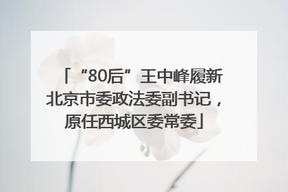 “80后”王中峰履新北京市委政法委副书记，原任西城区委常委