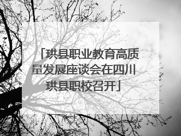 珙县职业教育高质量发展座谈会在四川珙县职校召开