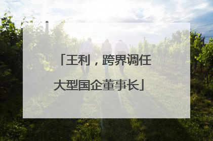 王利，跨界调任大型国企董事长