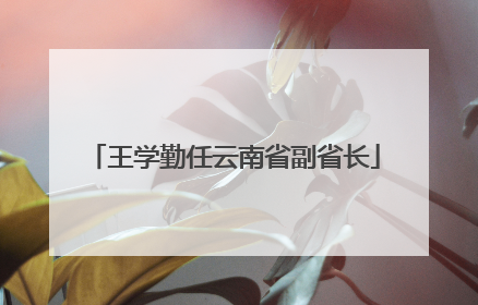 王学勤任云南省副省长