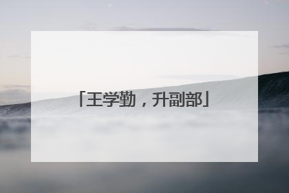 王学勤，升副部