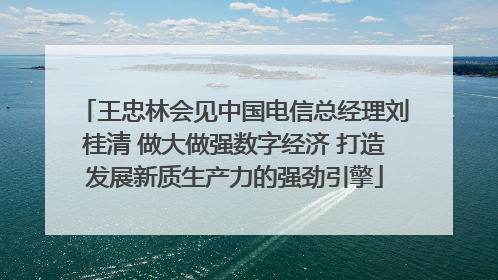 王忠林会见中国电信总经理刘桂清 做大做强数字经济 打造发展新质生产力的强劲引擎