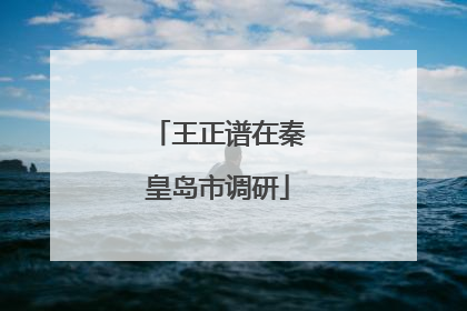 王正谱在秦皇岛市调研