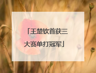 王楚钦首获三大赛单打冠军