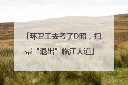 环卫工去考了D照，扫帚“退出”临江大道