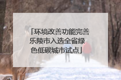 环境改善功能完善 乐陵市入选全省绿色低碳城市试点