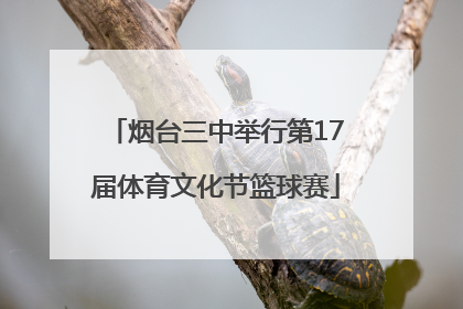 烟台三中举行第17届体育文化节篮球赛
