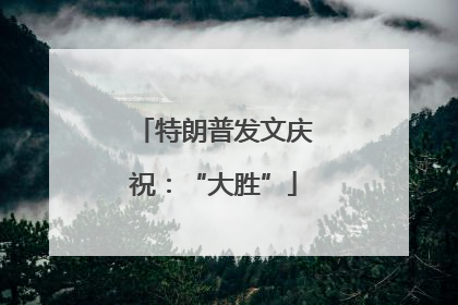 特朗普发文庆祝：“大胜”