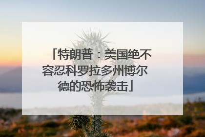 特朗普：美国绝不容忍科罗拉多州博尔德的恐怖袭击
