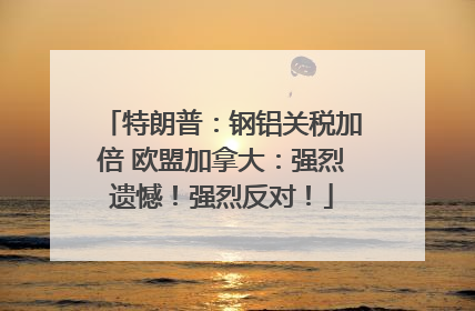 特朗普：钢铝关税加倍 欧盟加拿大：强烈遗憾！强烈反对！
