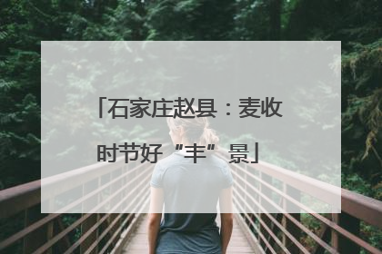 石家庄赵县：麦收时节好“丰”景
