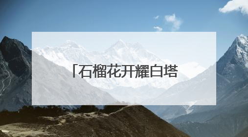 石榴花开耀白塔，新街口举办民族共同体宣传活动