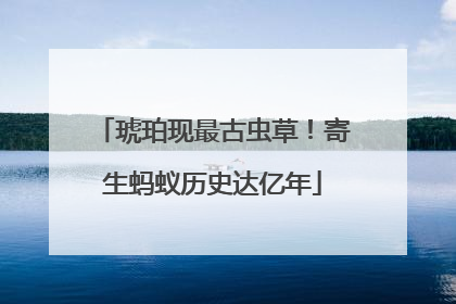 琥珀现最古虫草！寄生蚂蚁历史达亿年