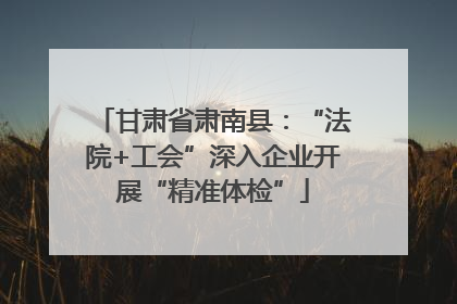 甘肃省肃南县：“法院+工会”深入企业开展“精准体检”