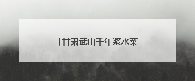 甘肃武山千年浆水菜“科技焕新”走全国