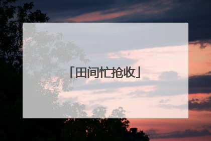 田间忙抢收