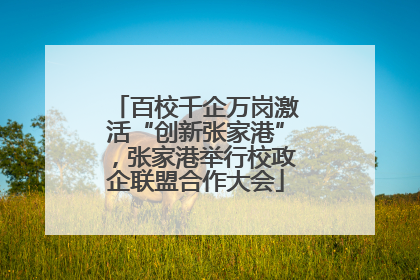 百校千企万岗激活“创新张家港”，张家港举行校政企联盟合作大会