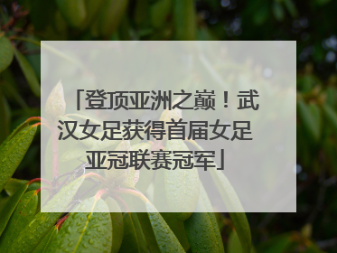 登顶亚洲之巅！武汉女足获得首届女足亚冠联赛冠军
