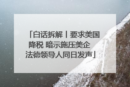 白话拆解丨要求美国降税 暗示施压美企 法德领导人同日发声