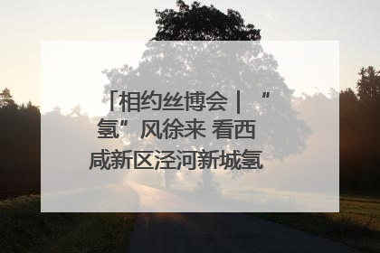相约丝博会｜“氢”风徐来 看西咸新区泾河新城氢能产业聚链成势