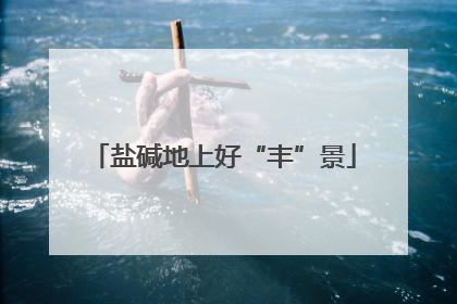 盐碱地上好“丰”景