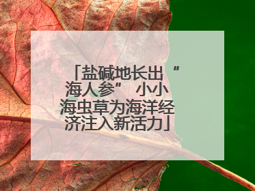 盐碱地长出“海人参” 小小海虫草为海洋经济注入新活力