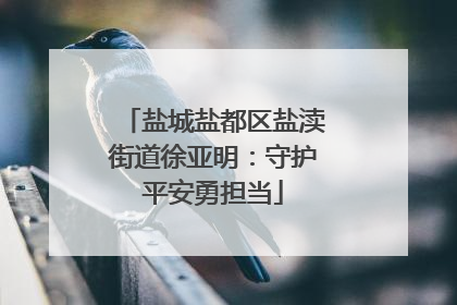盐城盐都区盐渎街道徐亚明：守护平安勇担当