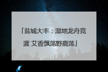 盐城大丰：湿地龙舟竞渡 艾香飘荡野鹿荡