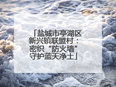 盐城市亭湖区新兴镇联盟村：密织“防火墙”守护蓝天净土