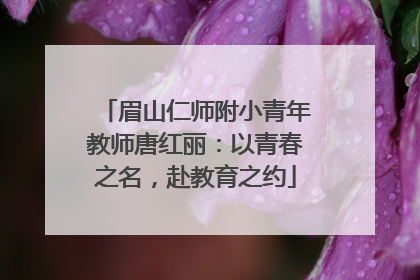 眉山仁师附小青年教师唐红丽：以青春之名，赴教育之约