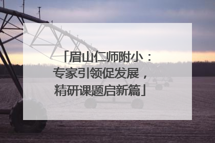 眉山仁师附小：专家引领促发展，精研课题启新篇