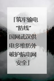筑牢输电“防线” 国网武汉供电多维防外破护航电网安全