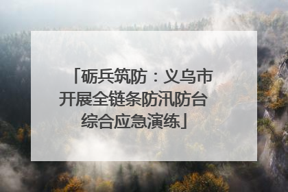 砺兵筑防：义乌市开展全链条防汛防台综合应急演练