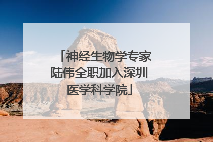 神经生物学专家陆伟全职加入深圳医学科学院