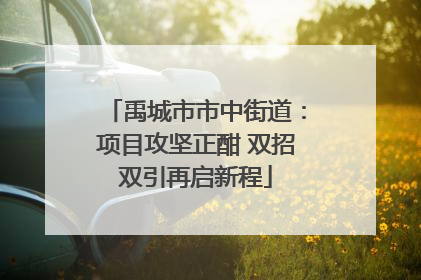 禹城市市中街道：项目攻坚正酣 双招双引再启新程