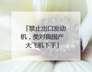 禁止出口发动机，美对我国产大飞机下手