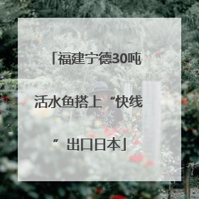 福建宁德30吨活水鱼搭上“快线”出口日本